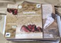 Seashells – a guide to learn about conserving the coasts