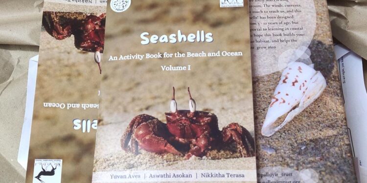 Seashells – a guide to learn about conserving the coasts
