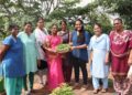 Community creates terrace garden for school