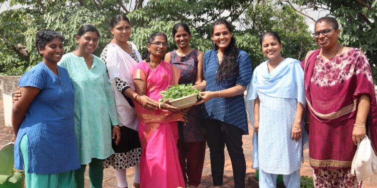 Community creates terrace garden for school