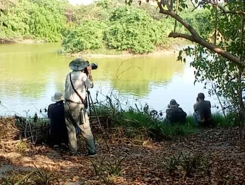 Malaysian ornithologists migrate to Chennai Ramsar sites for Earth Day