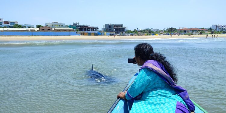 Juvenile Whale Sharks spotted off Neelankarai coast; TREE Foundation follows up