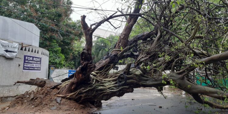 Every living being deserves another chance to live!