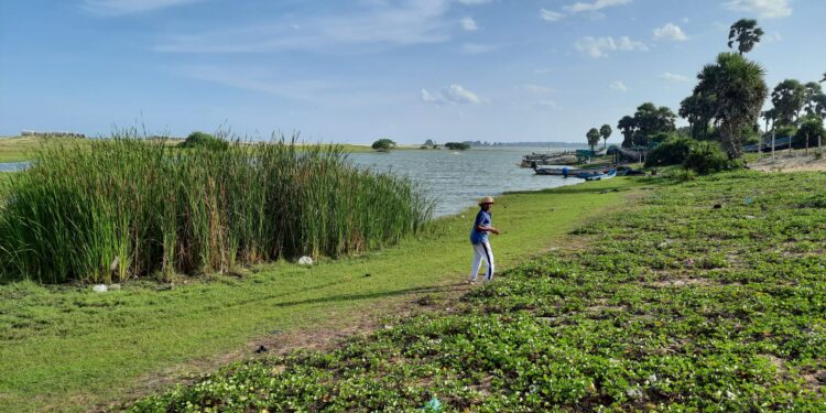 On the Neithal landscape, but by Road!