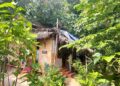 An EPIC show of greenery