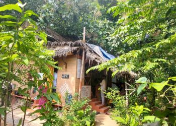 An EPIC show of greenery