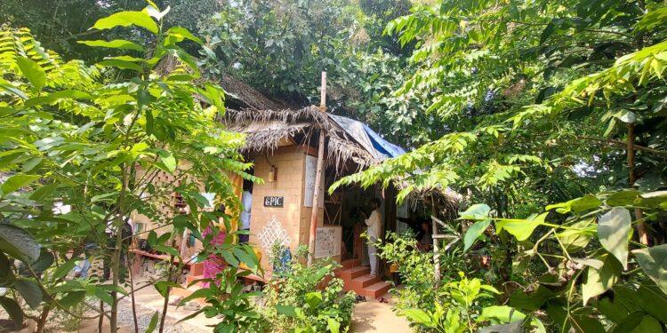 An EPIC show of greenery