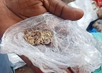 Dream India Diwali celebrations