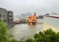 Cyclone Michaung Aftermath: Residents Transform into Volunteers