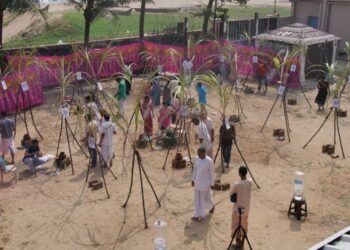 Pongal celebrations at Hare Krishna Movement