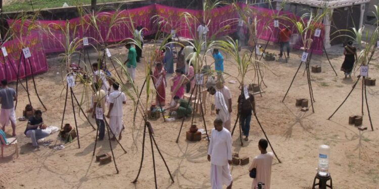 Pongal celebrations at Hare Krishna Movement