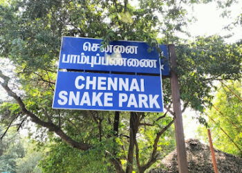 City retrieves property worth 50 crores from illegal possession