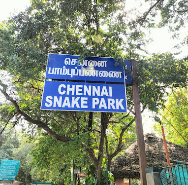 City retrieves property worth 50 crores from illegal possession