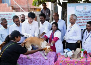 GCC steps up to vaccinate dogs for Rabies
