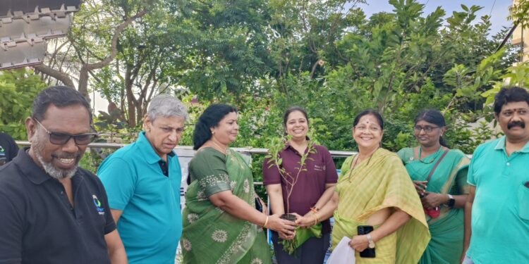 Greening efforts by Rotary