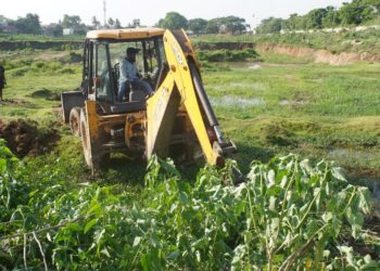 Tiruneermalai Chitteri Lake gets new lease of life, thanks to EFI