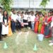 Tree plantation at Patrician College
