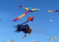The 3rd Tamil Nadu International Kite Festival Soars at Thiruvidanthai Beach