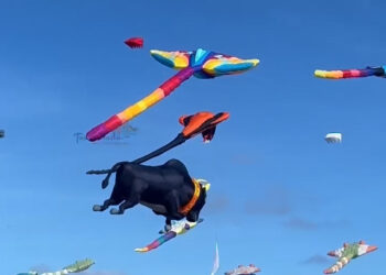 The 3rd Tamil Nadu International Kite Festival Soars at Thiruvidanthai Beach