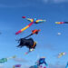 The 3rd Tamil Nadu International Kite Festival Soars at Thiruvidanthai Beach