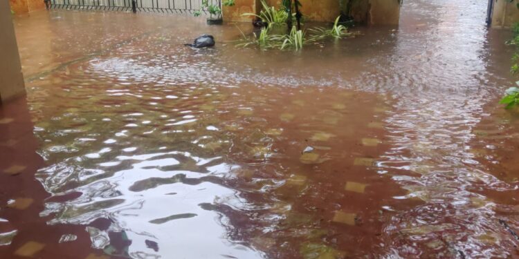 Kamaraj Nagar’s flooding nightmare irks residents