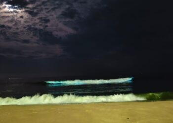 The blue beaches of Chennai; not Blue flag beaches!