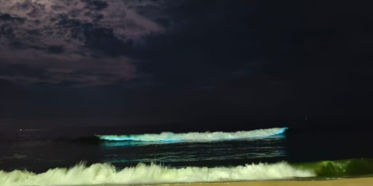 The blue beaches of Chennai; not Blue flag beaches!