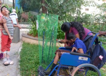 Tree awareness program for students of Vidya Sagar