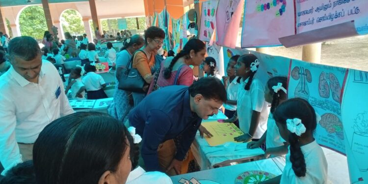 Project day celebration at Olcott school