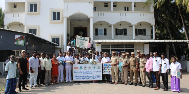 Conservation efforts for Olive Ridley Sea Turtles: TREE Foundation leads the way