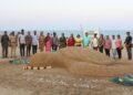 Memorial meet at Neelankarai Beach to mourn 5,000 lost Sea Turtles