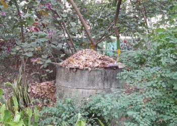 Park in Kalakshetra Colony in despair