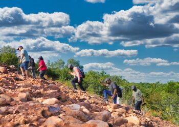 Tamil Nadu resumes trekking activities after fire season