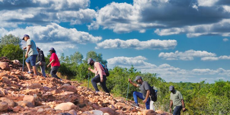 Tamil Nadu resumes trekking activities after fire season