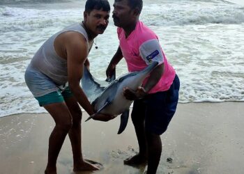 Coastal communities champion marine conservation in Tamil Nadu