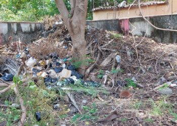 GCC Issues Strict Guidelines for Vacant Land Maintenance, Warns of Penalties