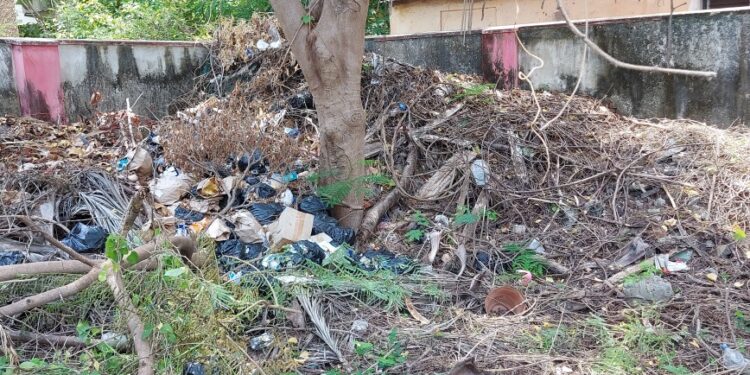 GCC Issues Strict Guidelines for Vacant Land Maintenance, Warns of Penalties