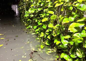 Karpagam Gardens Battles Twin Water Woes – Flooding and Shortage