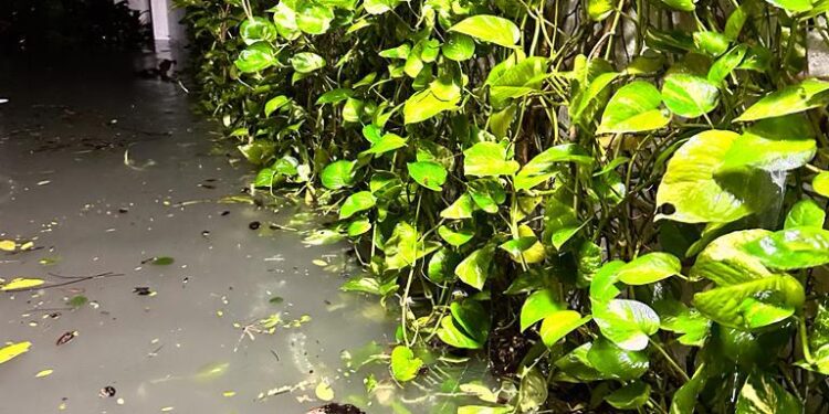 Karpagam Gardens Battles Twin Water Woes – Flooding and Shortage