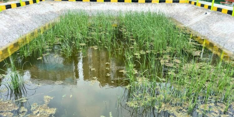 EFI Pioneers ‘Sponge Parks’ to Tackle Chennai’s Water Woes