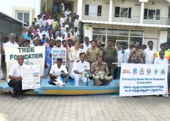 Tree Foundation’s Workshop Strengthens Marine Conservation Efforts