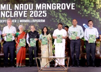 Tamil Nadu Hosts Historic Mangrove Conclave to Boost Coastal Restoration